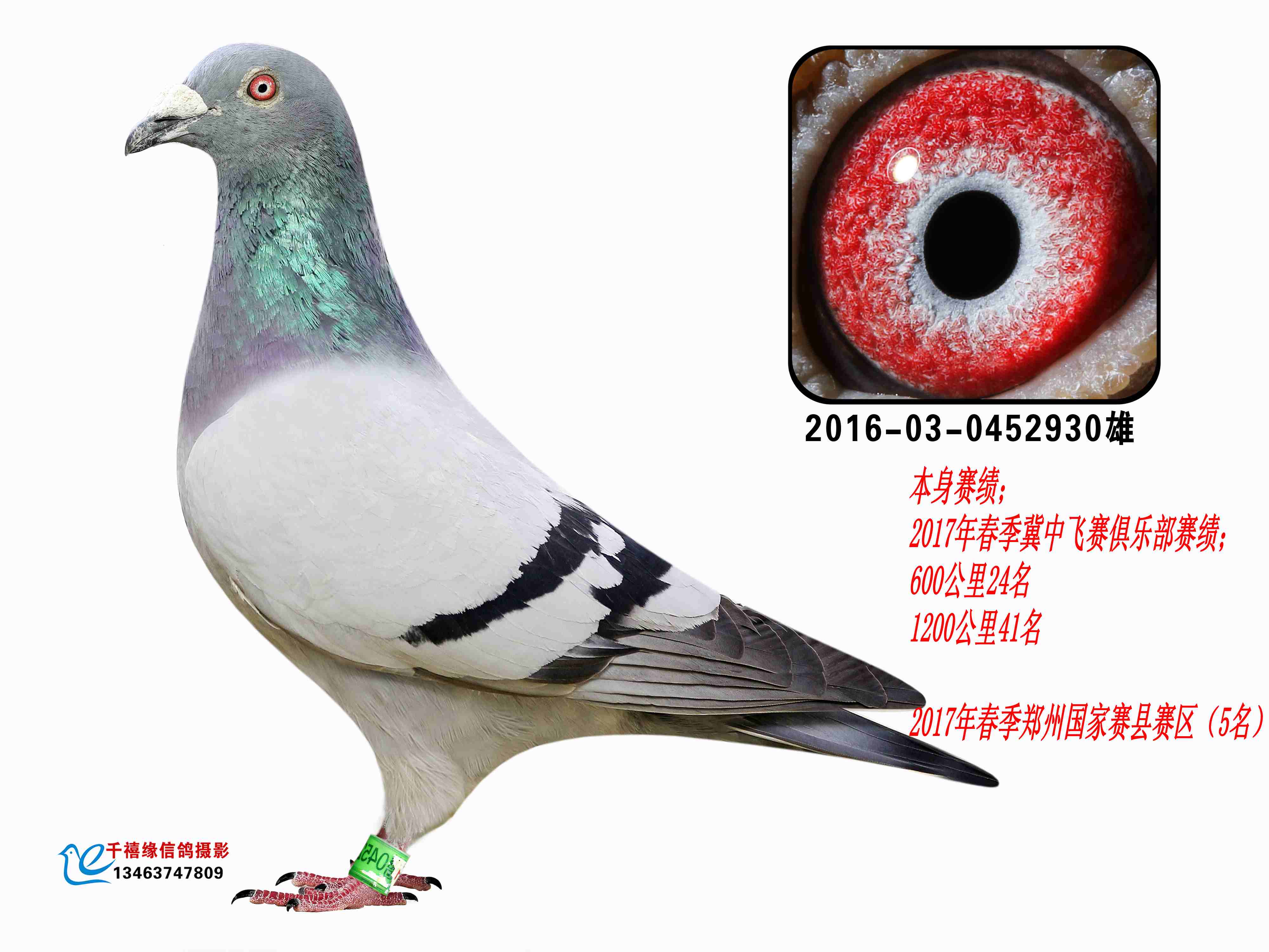 60024120041