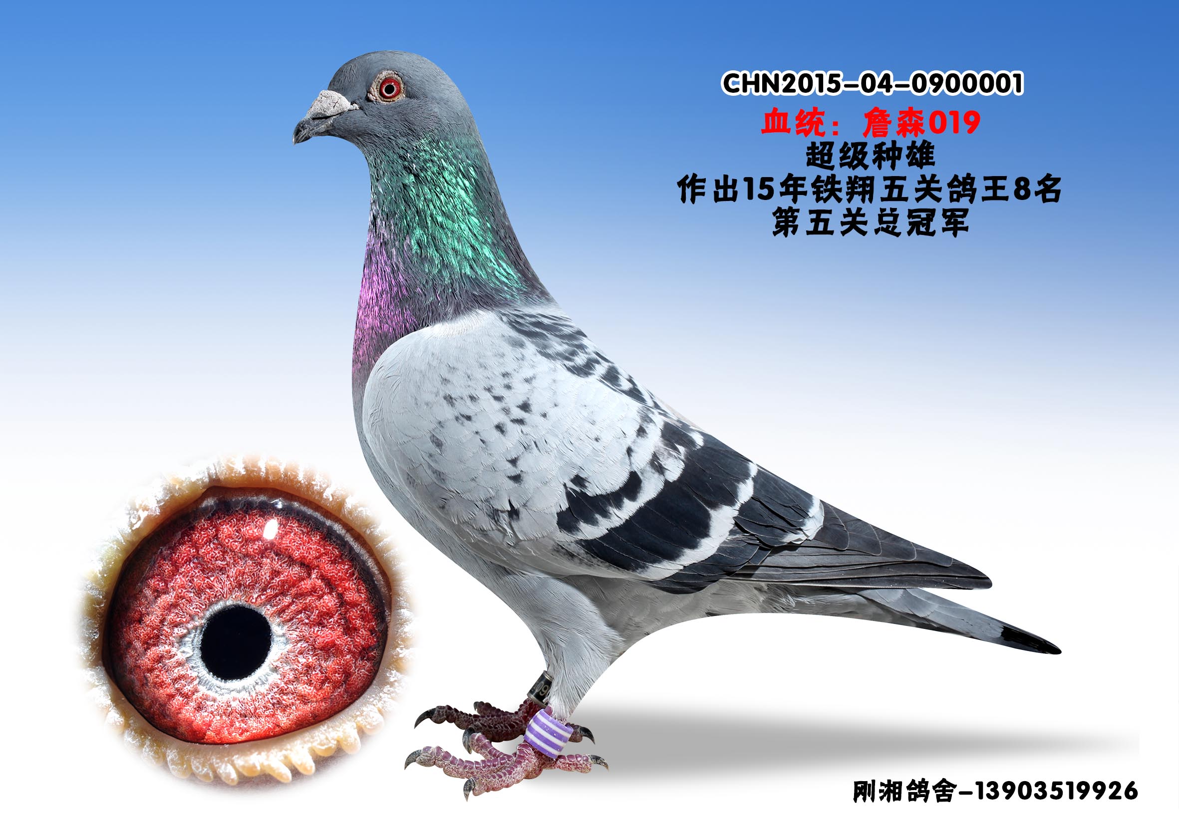 詹森019-超级种雄0900001