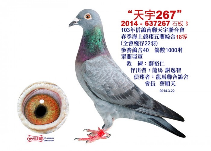 天宇18等