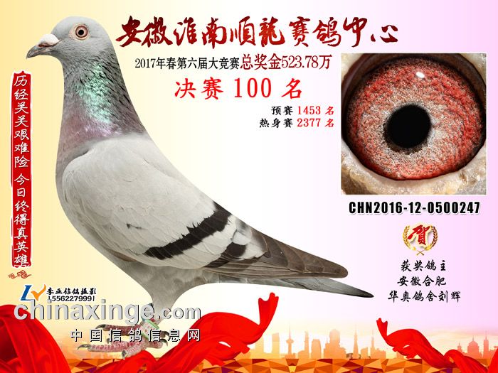 17괺Qِ100