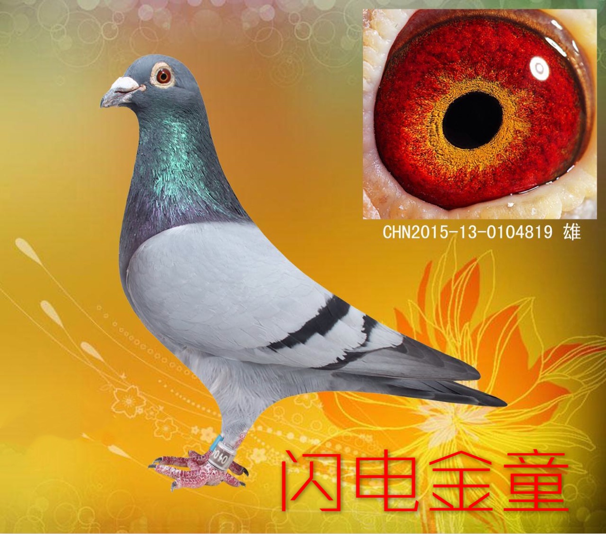 微信