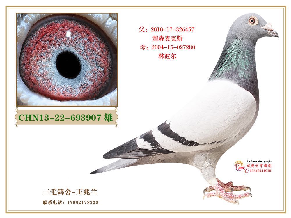 林波尔