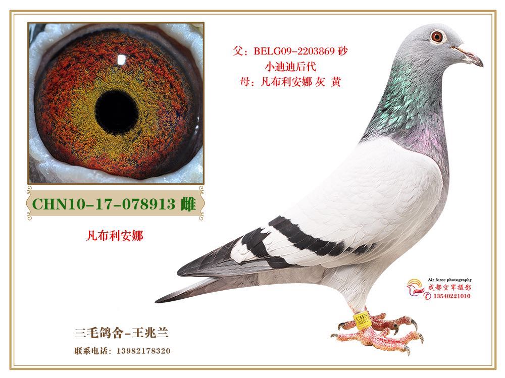 凡布利安娜