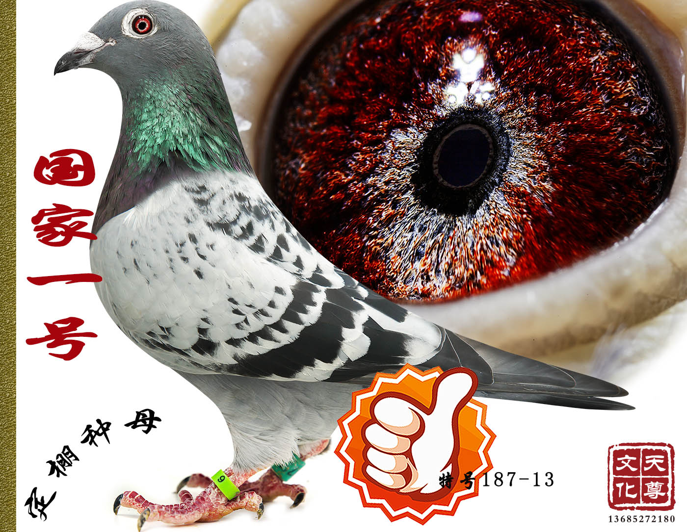 һ̖(ho)  ̖(ho) 187-13