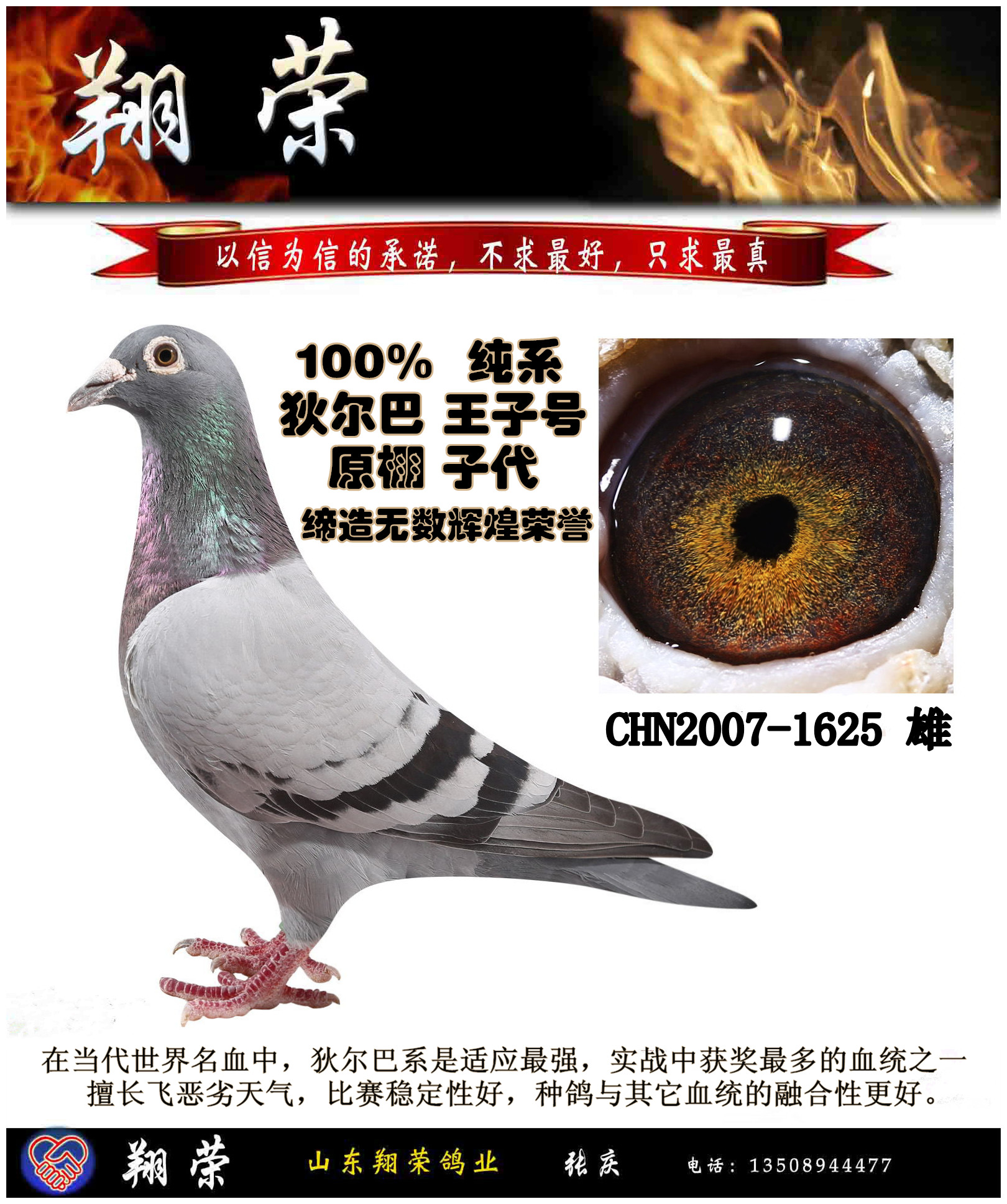 狄尔巴～王子号