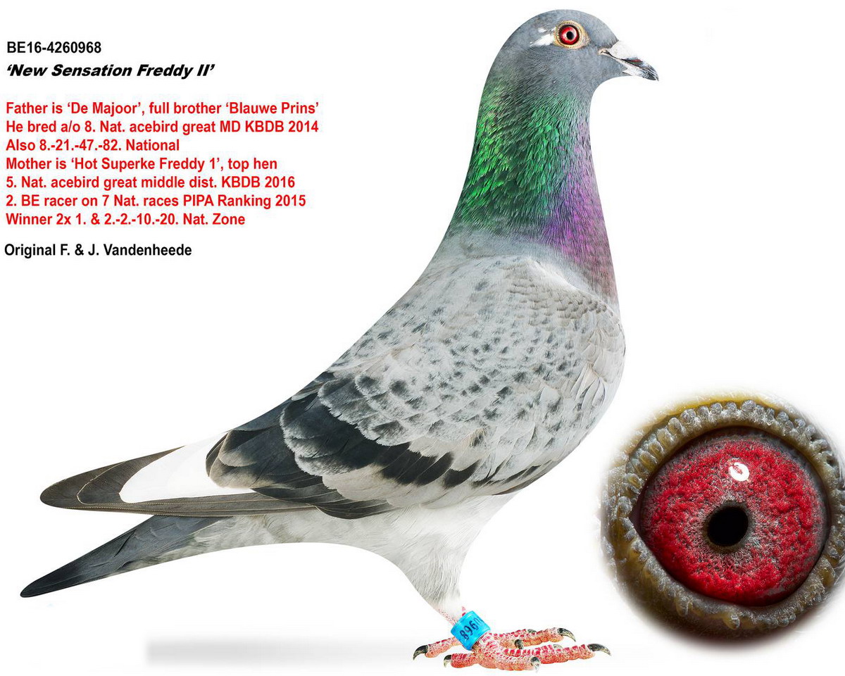 ׵ϡOŮȫоx8λƽ݅