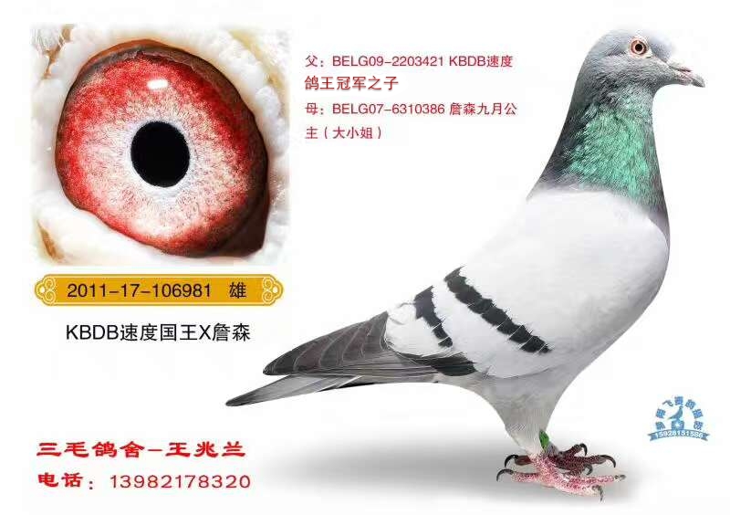 奇迹号.盖比