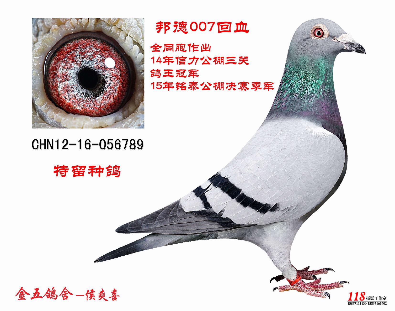 邦德007回血