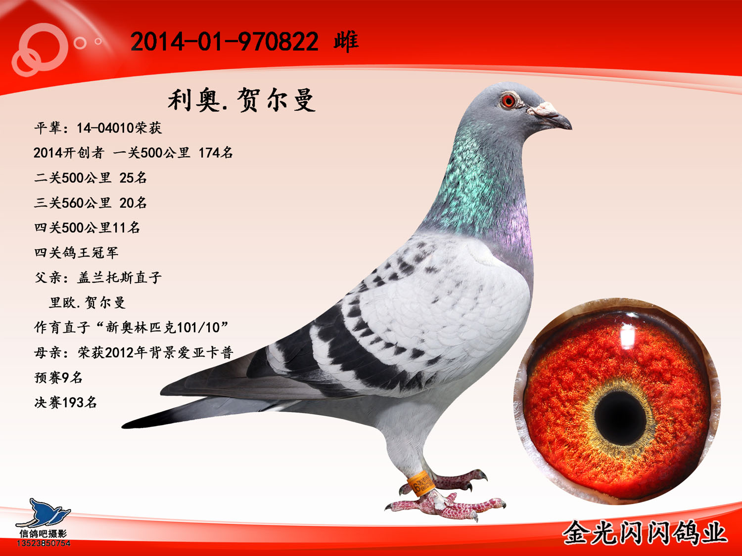 利奥·贺尔曼