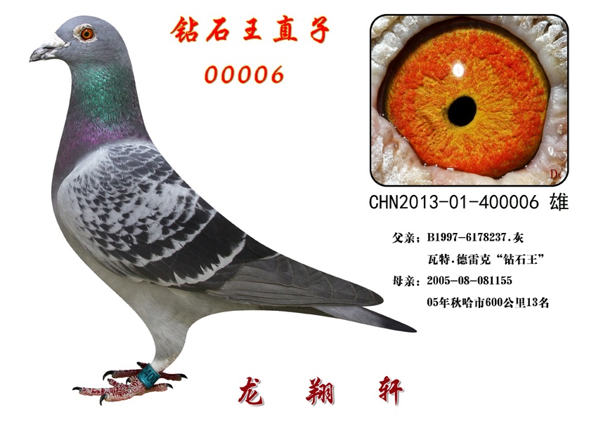钻石王.优秀直子0006
