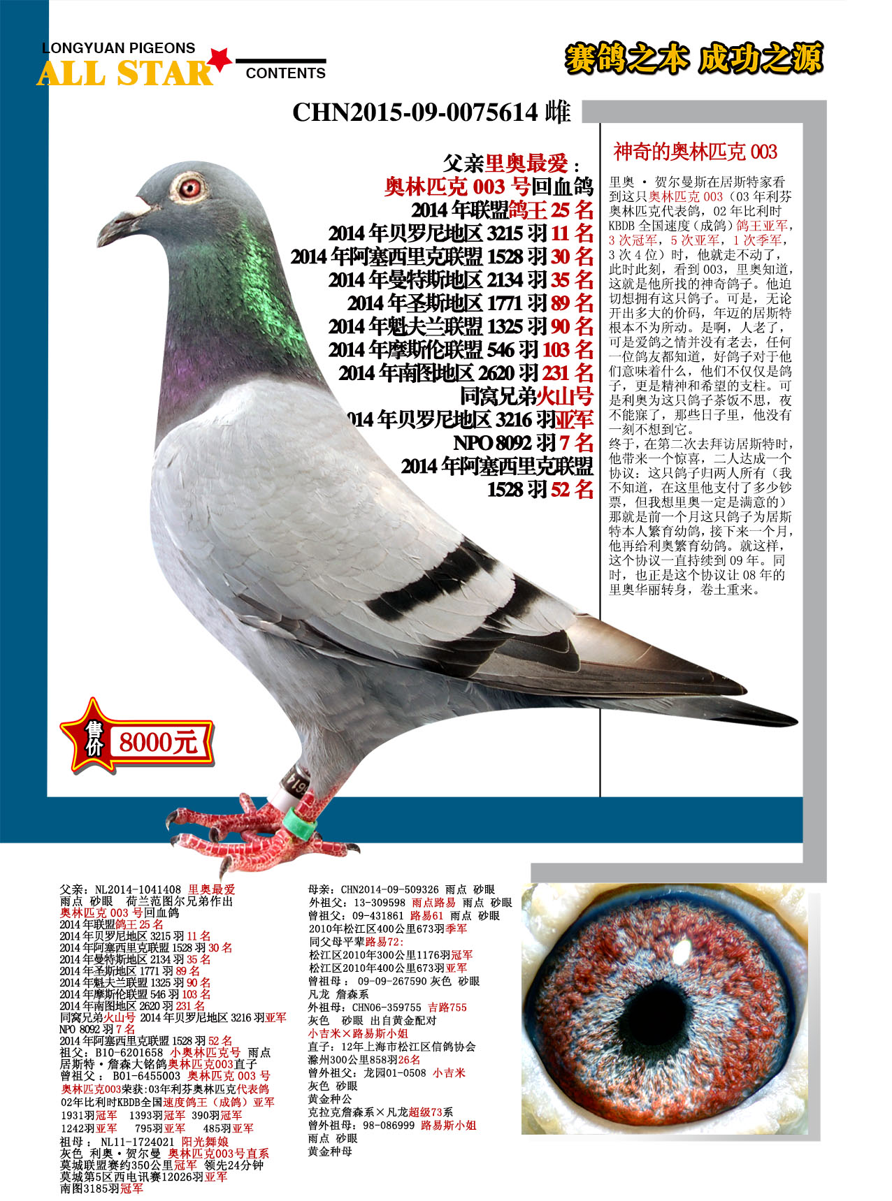 里奥·贺尔曼 6