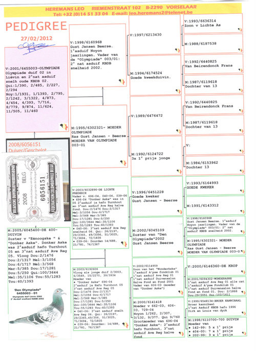 奥林匹克03直子利奥原舍