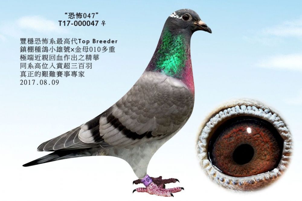 【已转让】