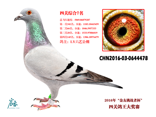 16ػʍuB(du)P(gun)7