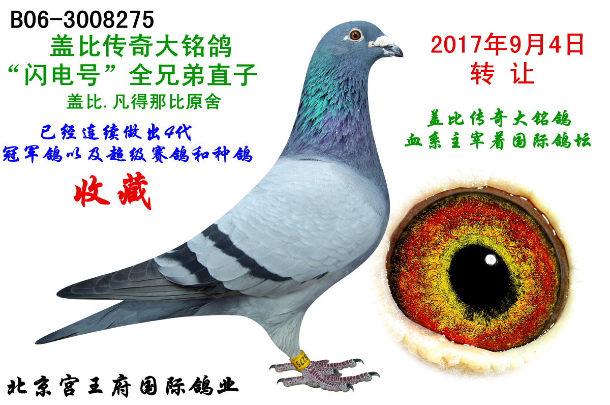 Wֱֵ̖