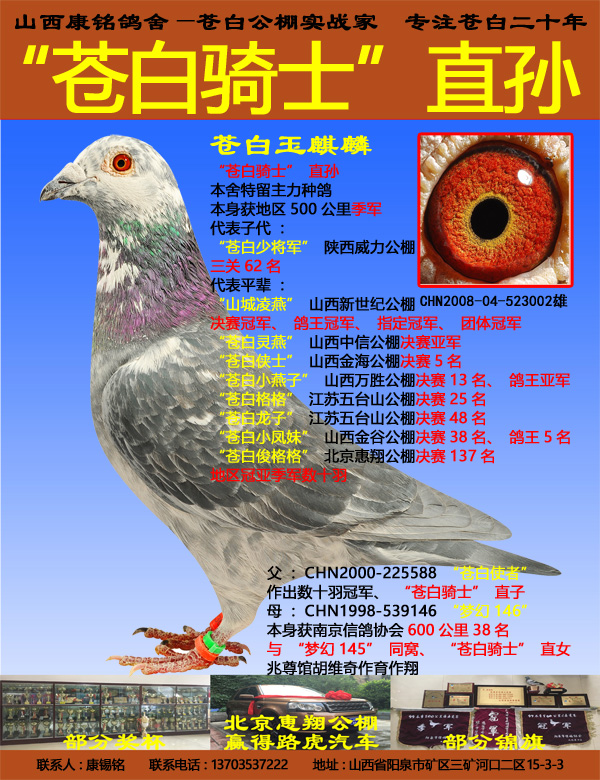 山西康铭鸽舍 - 中信网铭鸽展厅 www.ag188.com