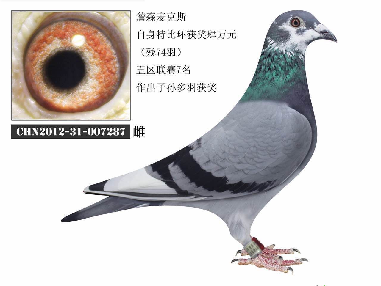 麦克斯287