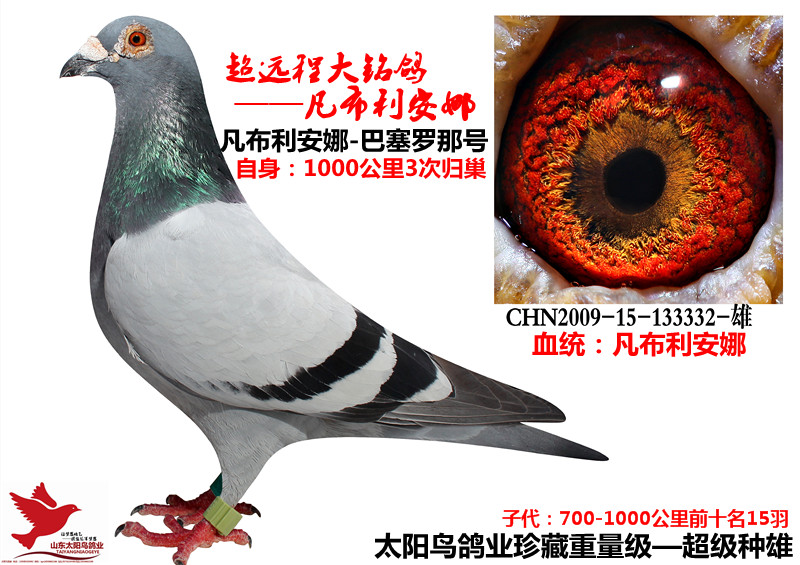 凡布利安娜超级332