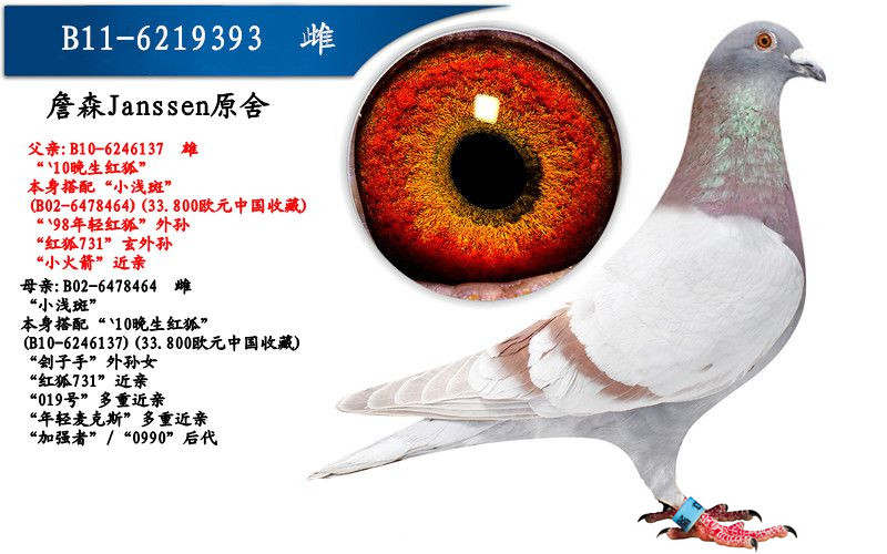 詹森原舍