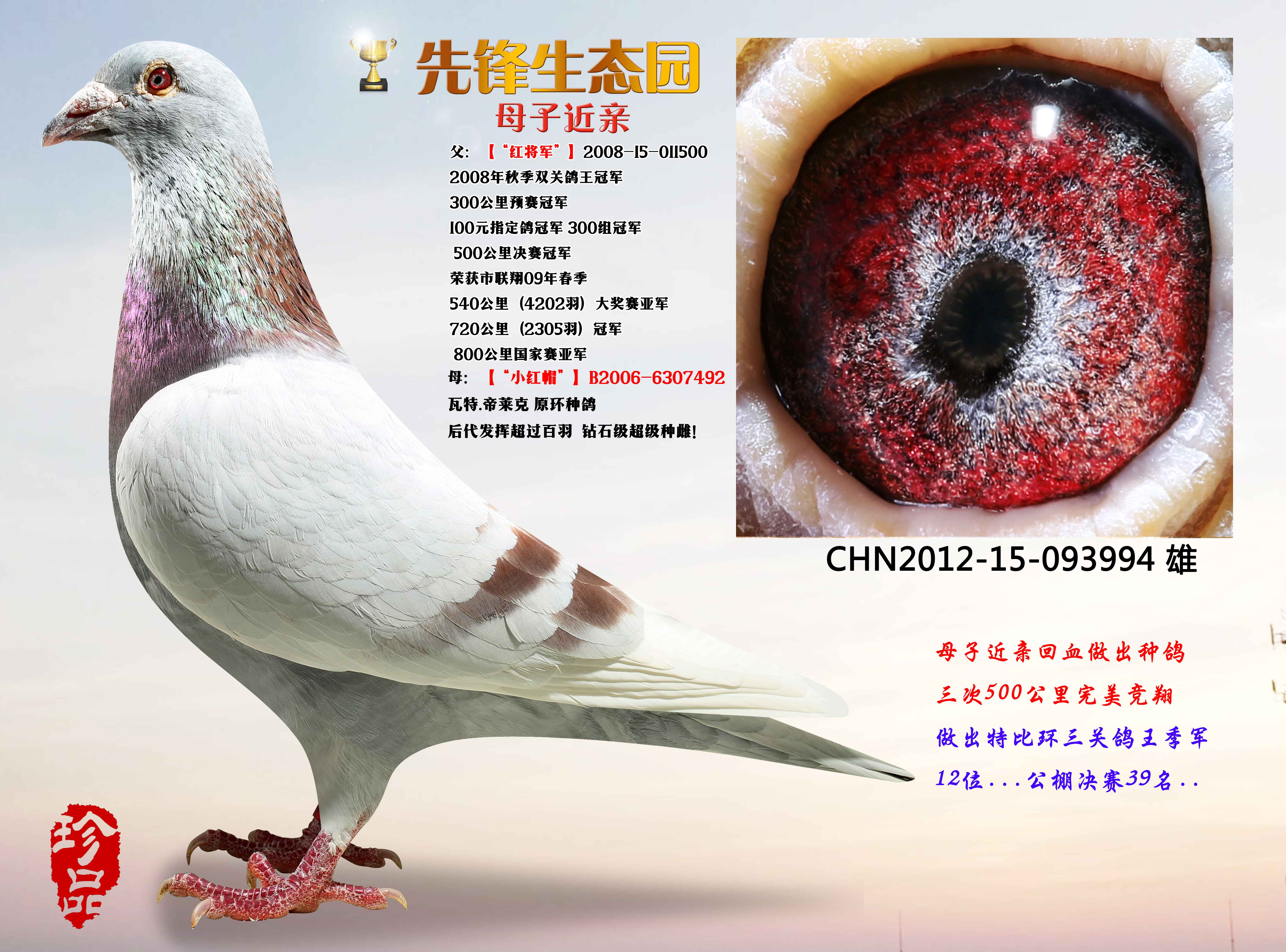 母子近亲