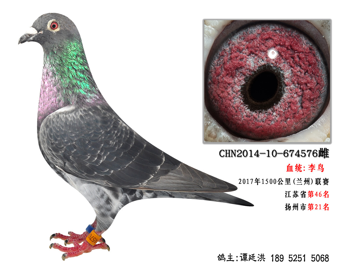 150021uƷ