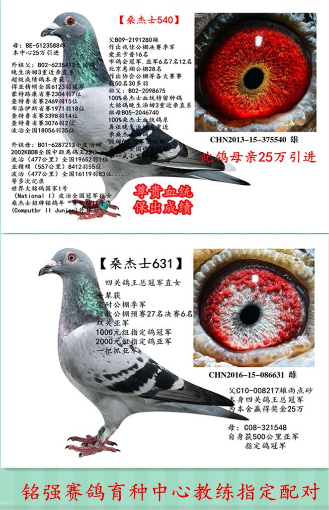 超级配对