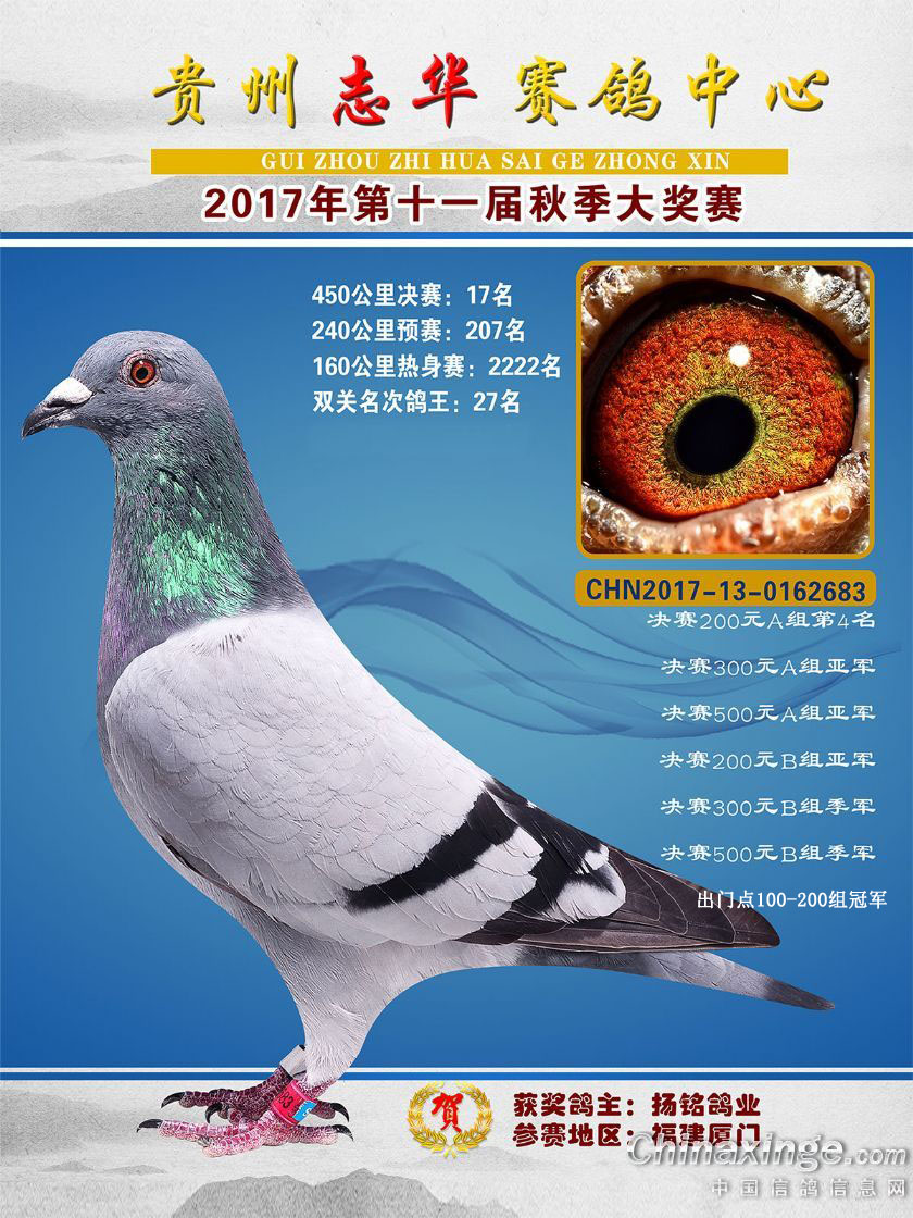 贵州志华赛鸽中心2017年秋季17名