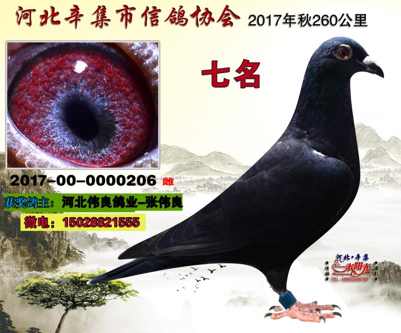 260公里7名