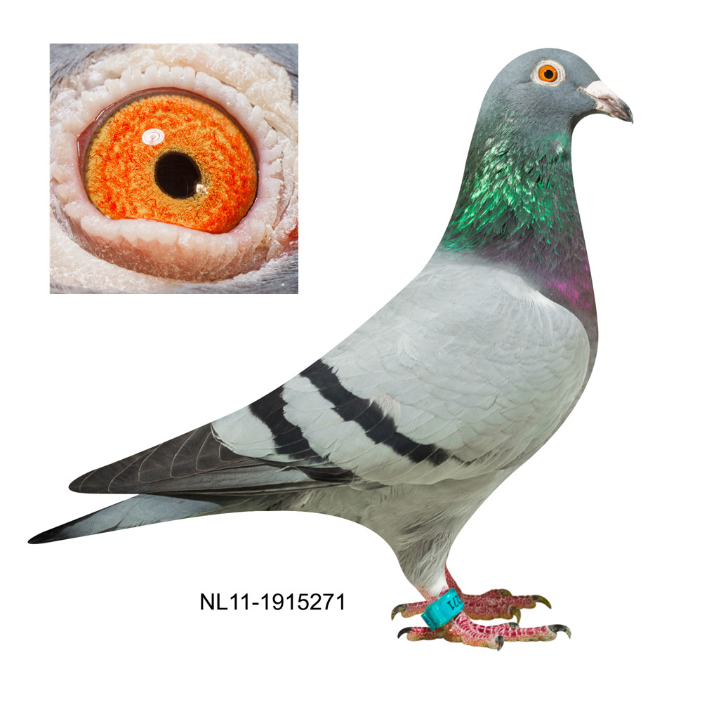 271
