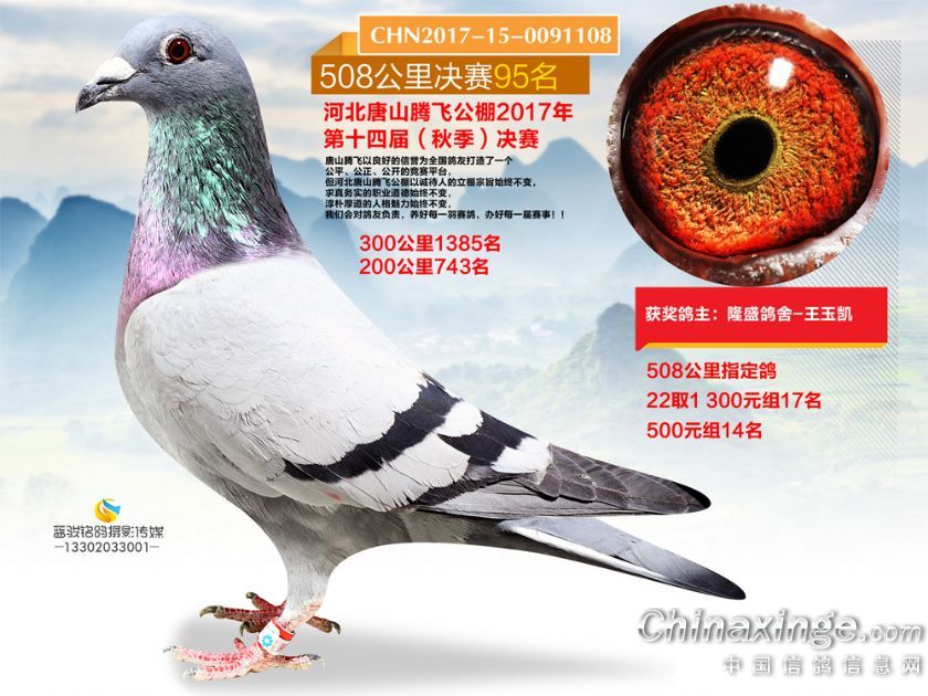 �ڷɾ���95��