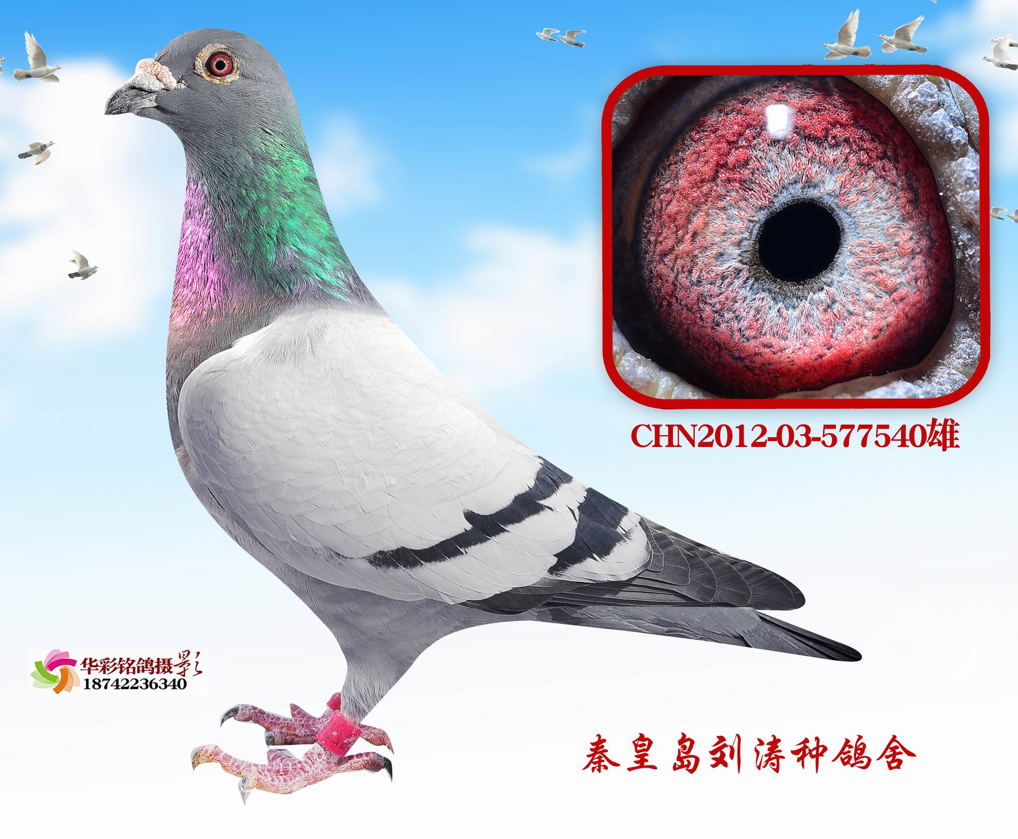 Ӣ540