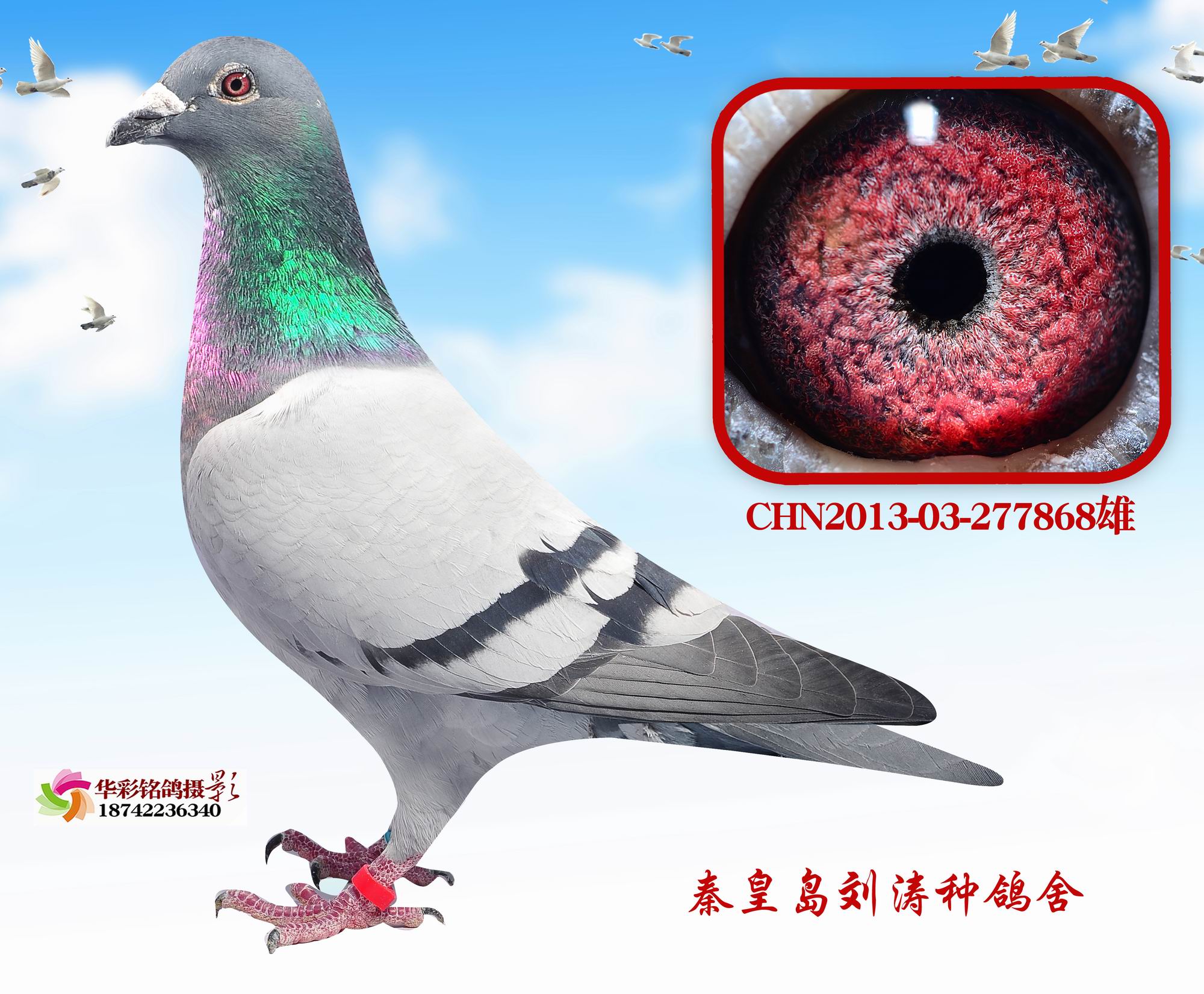 Ӣ868