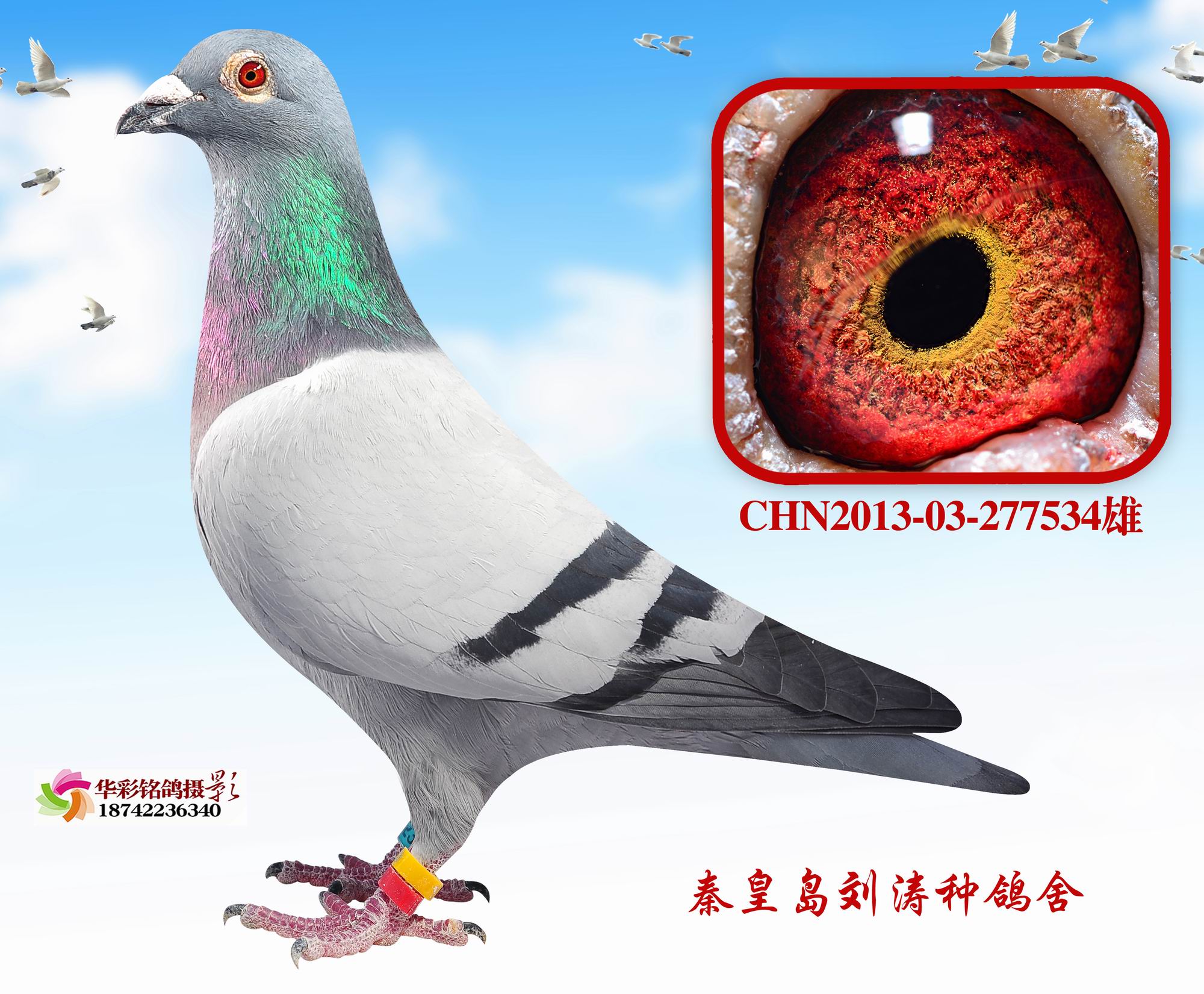 12괺Qِ42ܵ