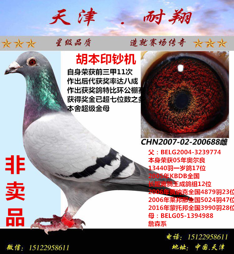 胡本印钞机_天津耐翔鸽业_ ag188.com爱鸽商城_中国