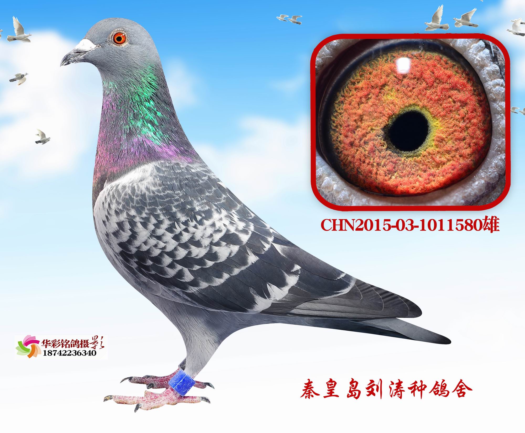 Ӣ580