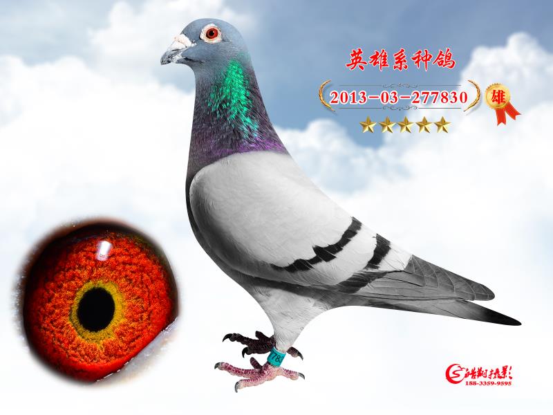 Ӣ830