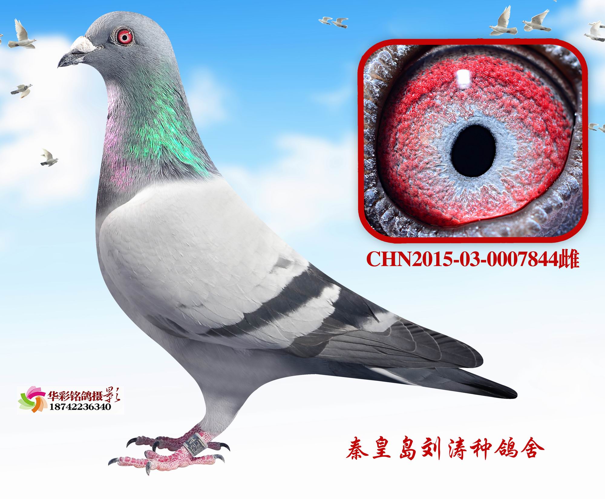 Ӣ844