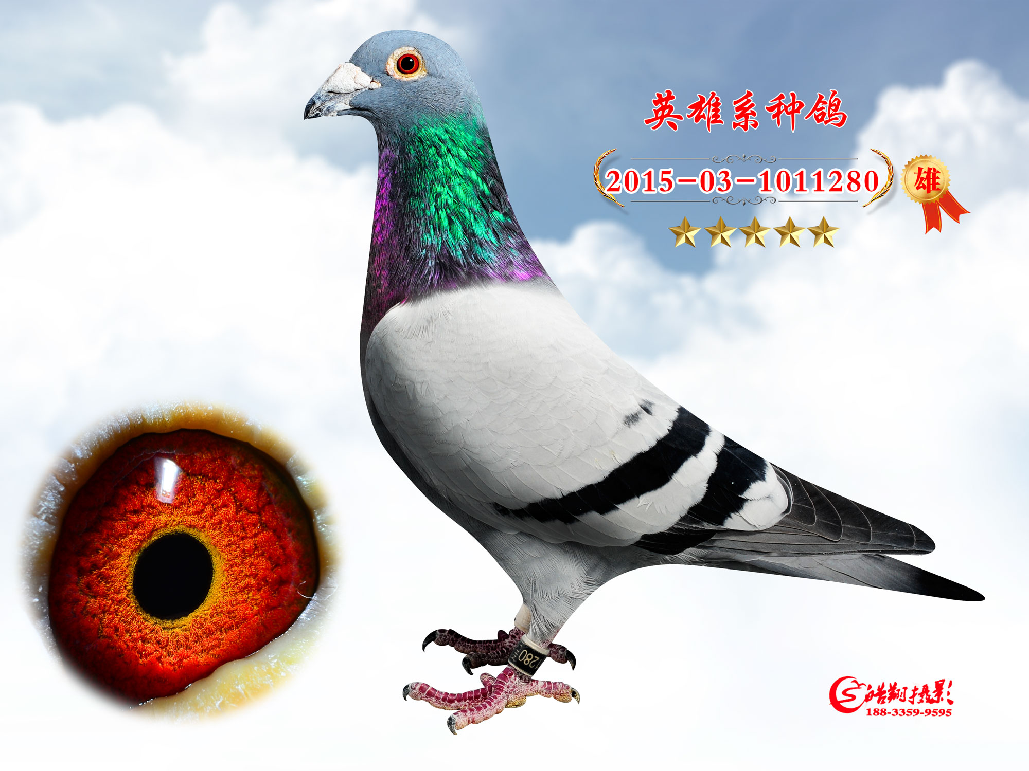 15ػʍu蹫50013