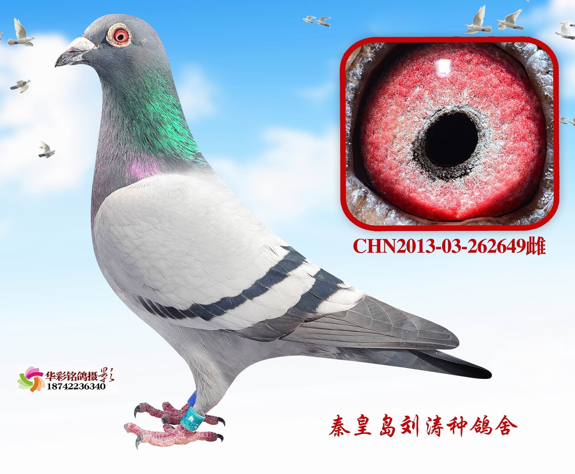 һsҫȫ