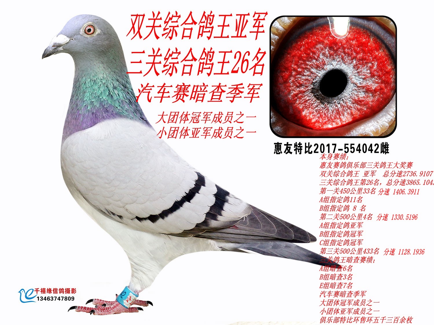 pP(gun)C܊ P(gun)C26