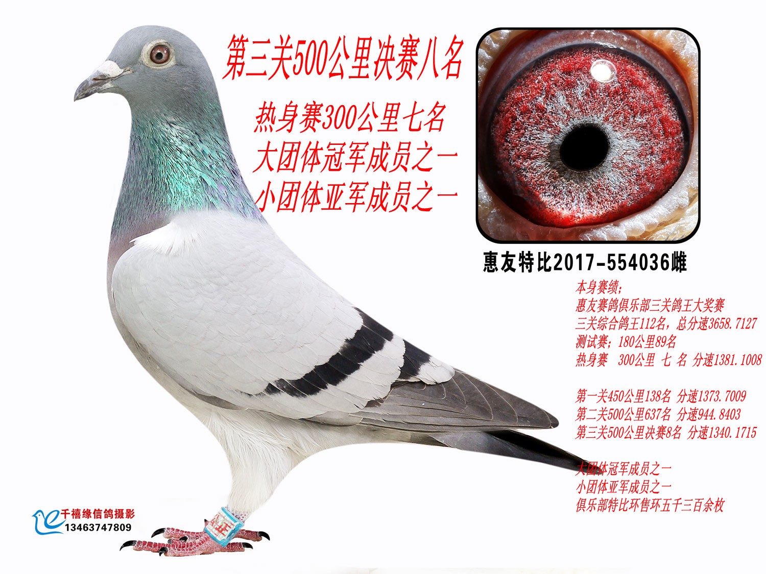 3007 5008