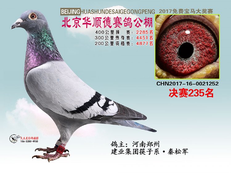 A혵¹Qِ235