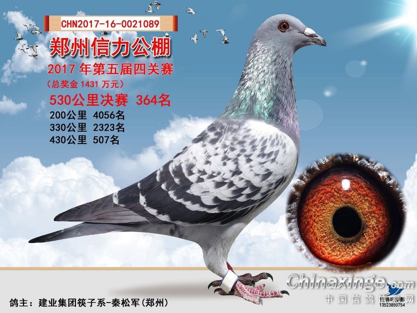 Qِ364
