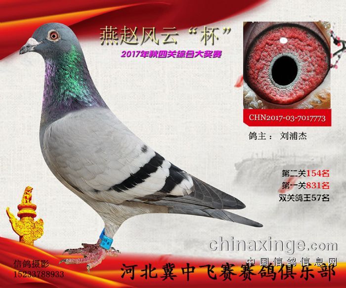 wِpP(gun)C57