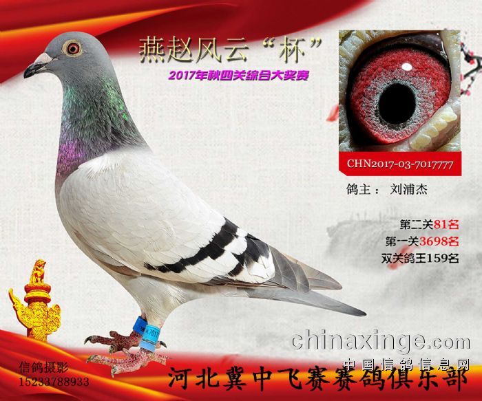 wِpP(gun)C159