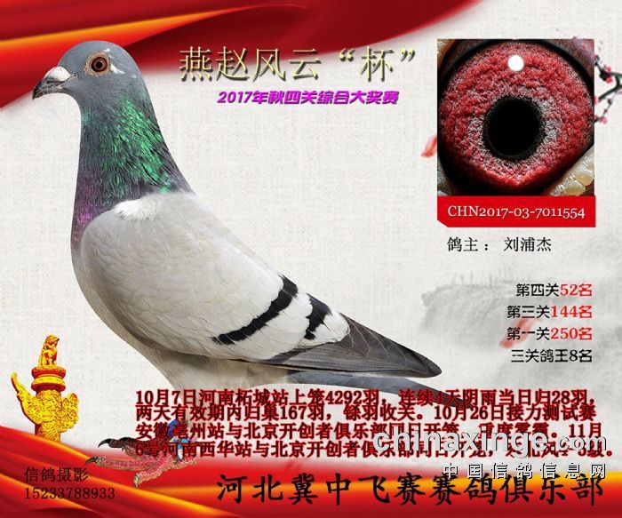 wِP(gun)C8
