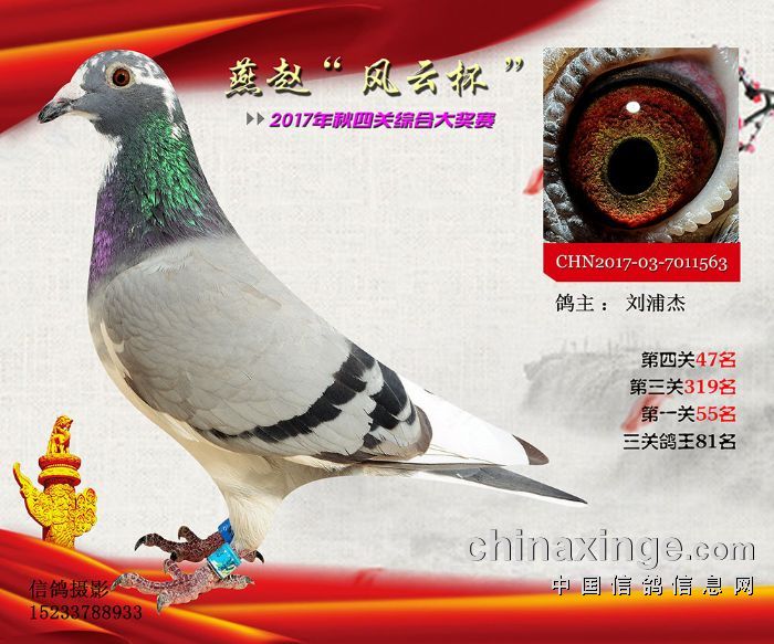 wِP(gun)C81 c985