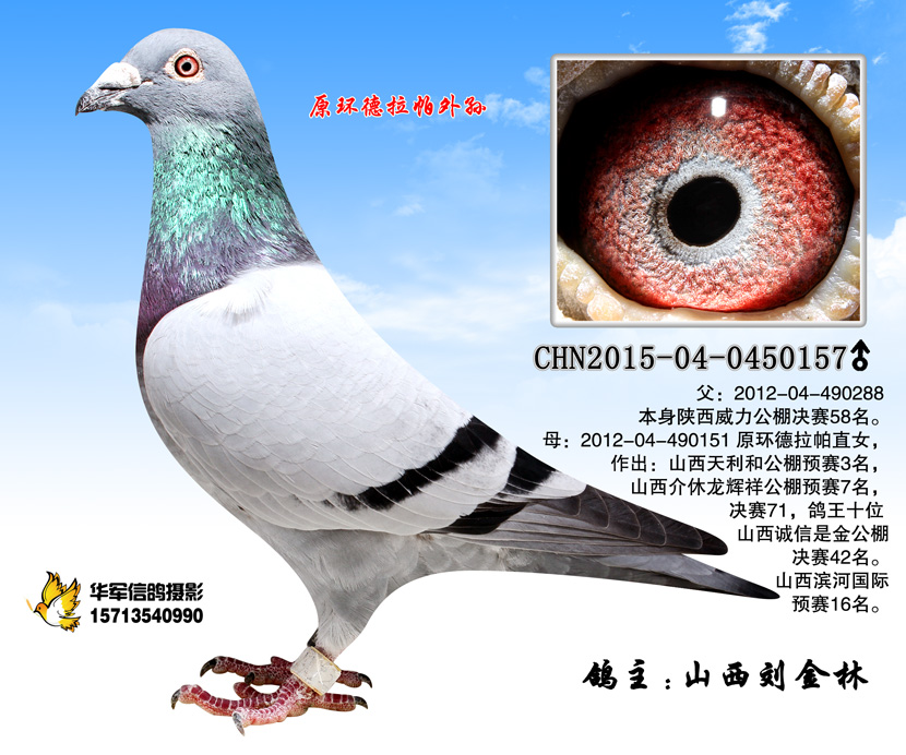 原环德拉怕外孙