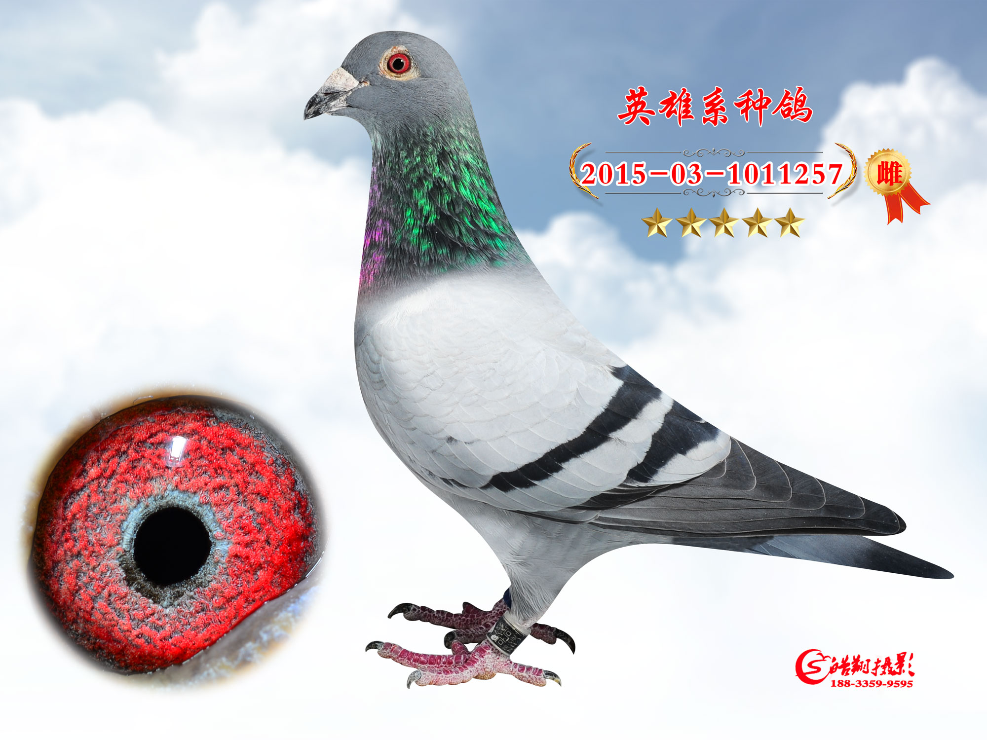 Ӣ257