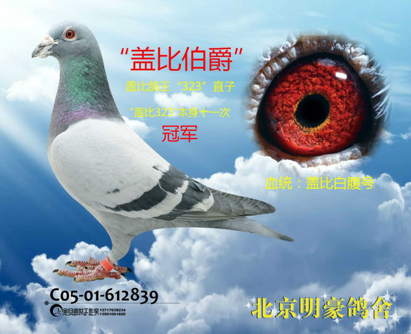 盖比伯爵(十一次冠军直子)